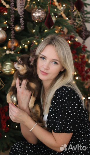 Детский фотограф. Новогдняя фотосессия