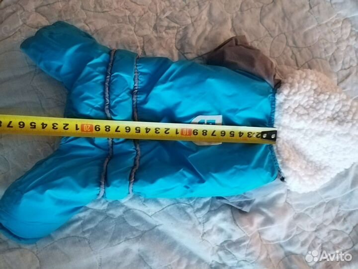 Одежда для маленьких собак s