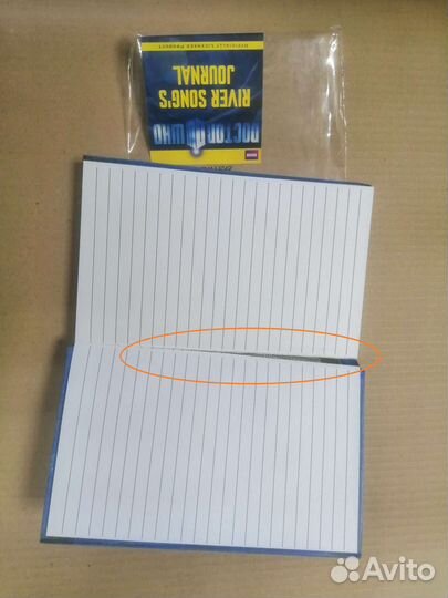 Дневник Ривер Сонг