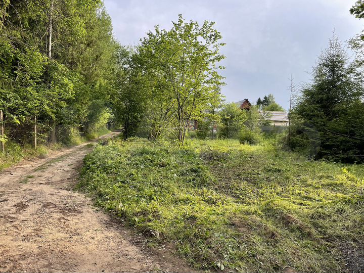 Участок 6,5 сот. (СНТ, ДНП)