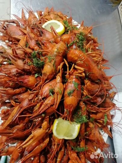 Живые и варёные раки