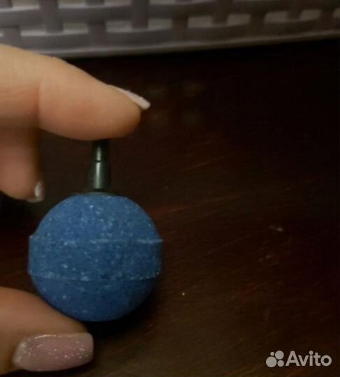 Для аквариума