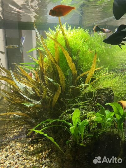 Аквариум с тумбой