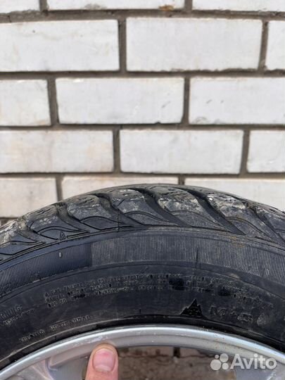 Sava Eskimo Stud 185/65 R15