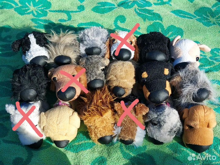 The dog collection