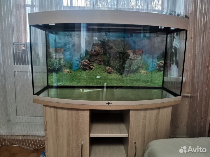 Аквариум с тумбой Biodesign