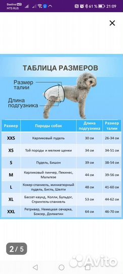 Памперсы подгузники для животных