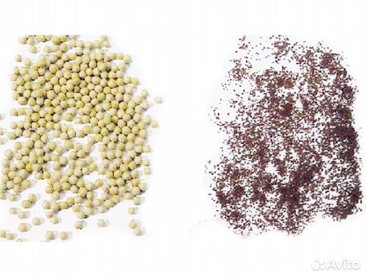 Семена для микрозелени