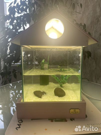 Аквариум 5 литров