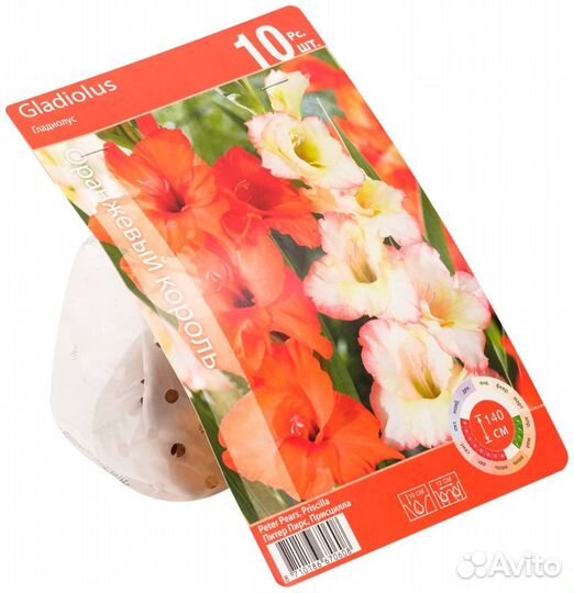 Луковицы Гладиолус Оранжевый микс