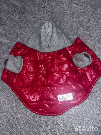 Одежда для маленьких собак