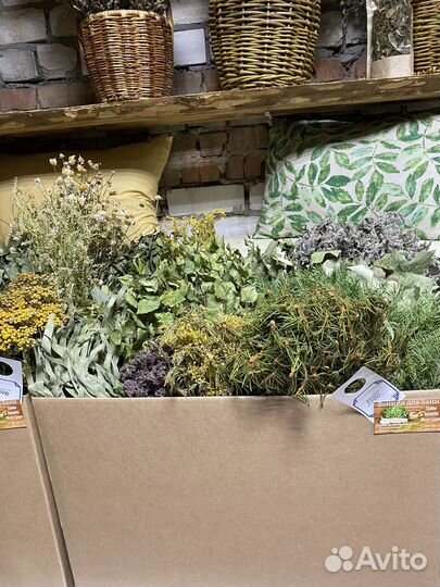 Веники для бани,пихтовые веники и травы