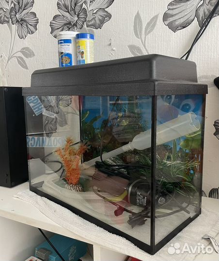 Аквариум