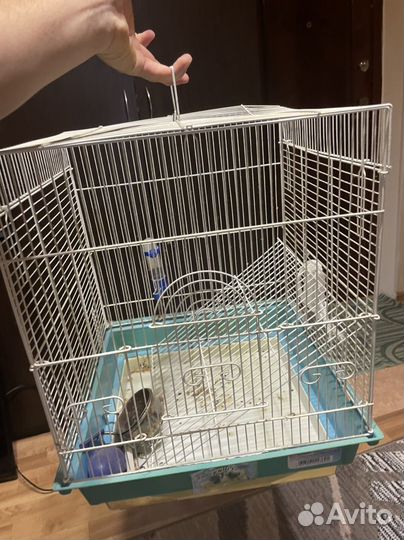 Клетка для попугая