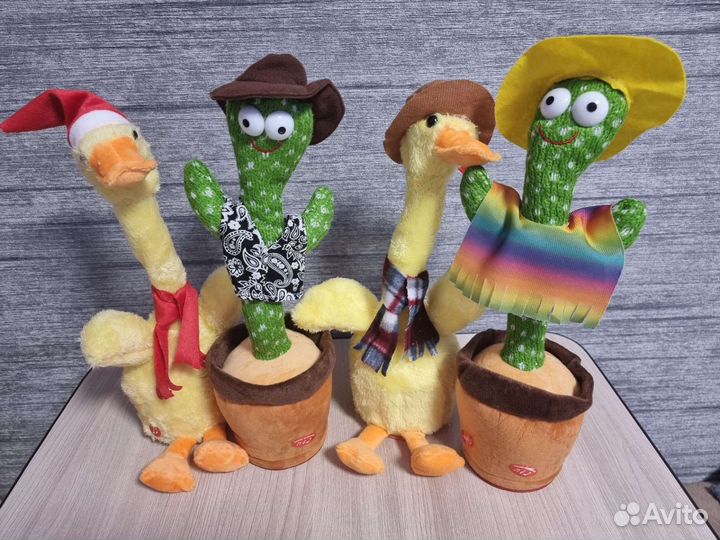 Танцующий кактус