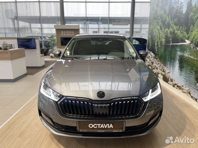 Skoda Octavia, 2021 купить в Калининграде | Автомобили | Авито