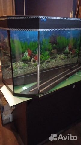 Аквариум