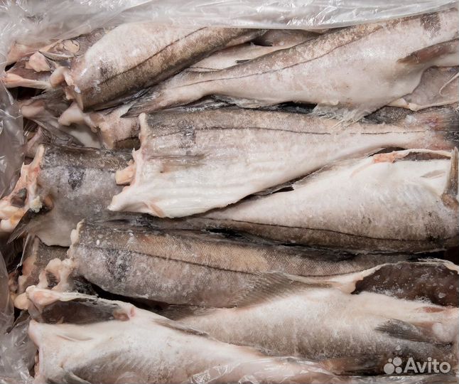 Пикша без головы 0,5 и менее свежеморож. 25кг