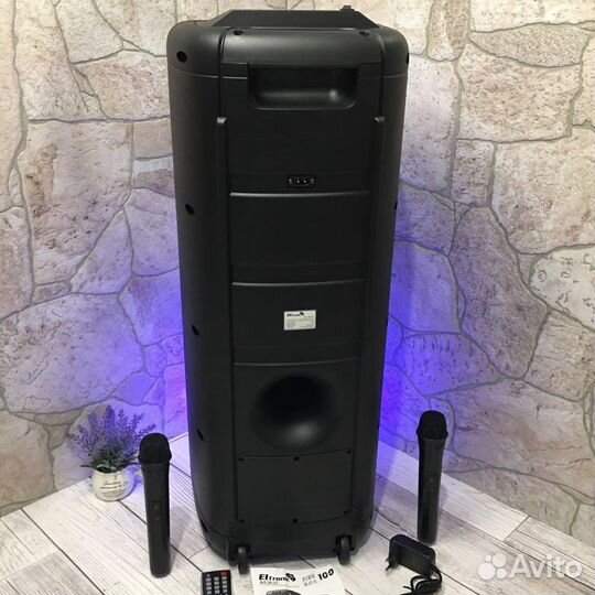 Портативная колонка Eltronic 20-16