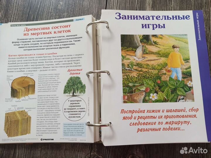 Книга энциклопедия Тайны леса