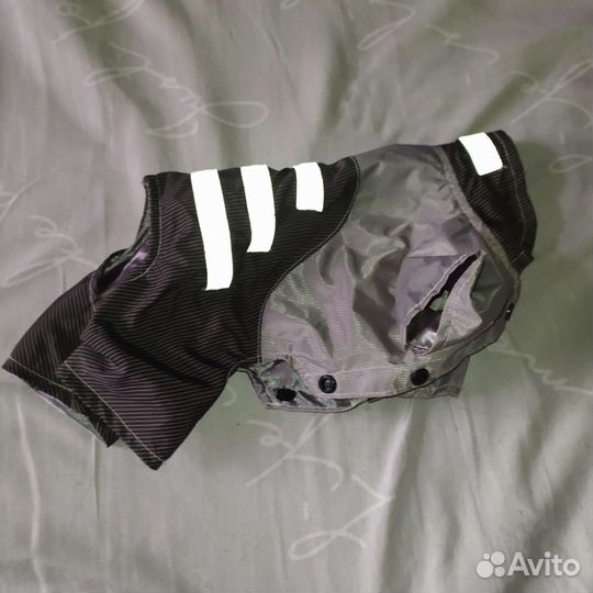 Костюм для собак мелких пород (мини той терьер)