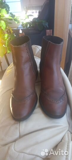 Ботинки челси массимо дутти