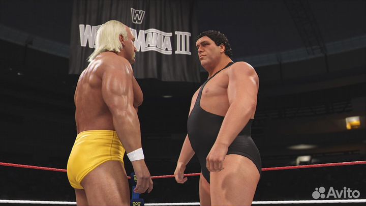 Игра WWE 2K24 (PS4, английская версия)