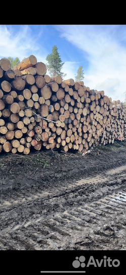 Лес кругляк пиловочник