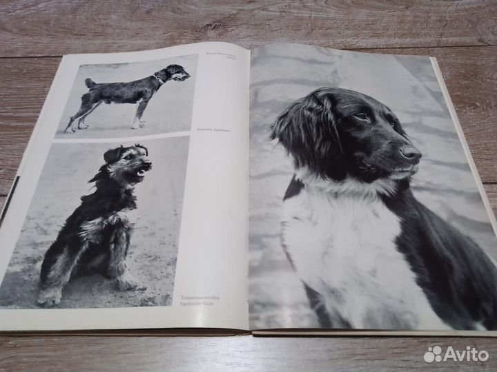 Продаю книгу о породах собак на нем.языке