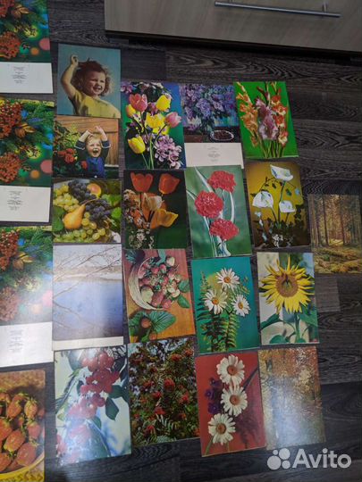 Открытки СССР