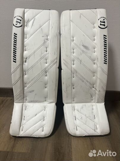 Вратарские щитки warrior G4, 24+1, jr