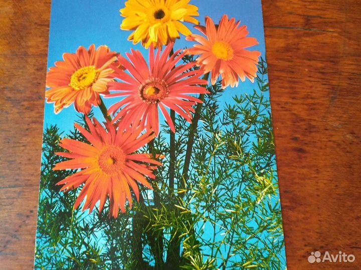 Открытки с цветами времен СССР. Цена за одну