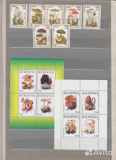 Марки Грибы