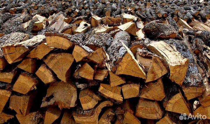 Дрова сухие