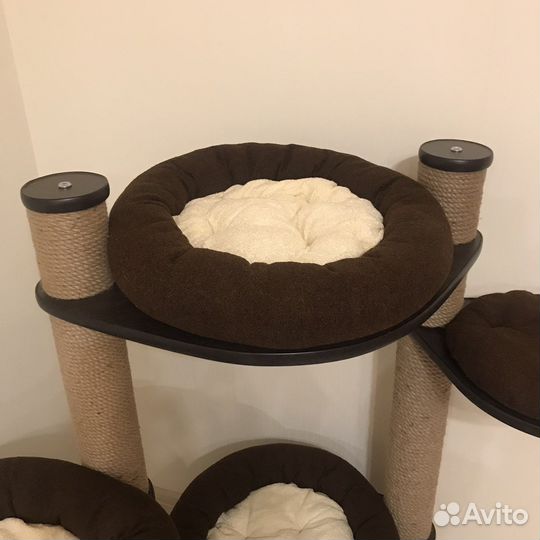 Комплекс для кошек