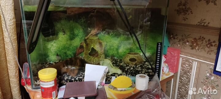 Аквариум 30 л