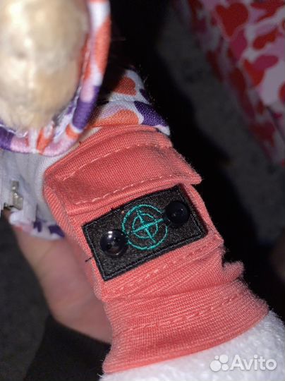 Lil Buda (OG Buda x Mistical)