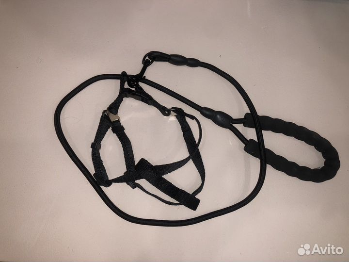 Поводок, шлейка, ошейник, миска, игрушки