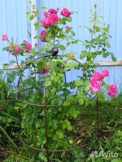 Опора для цветов