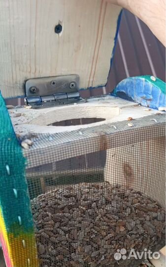 Кормушка для птиц