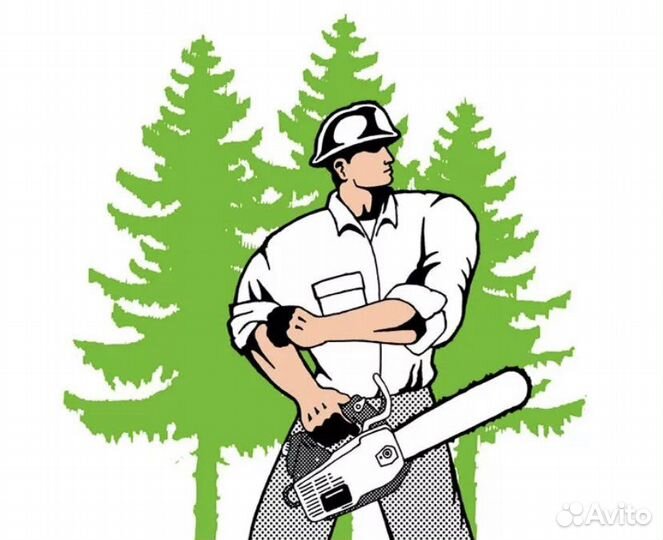 Пильщик дров