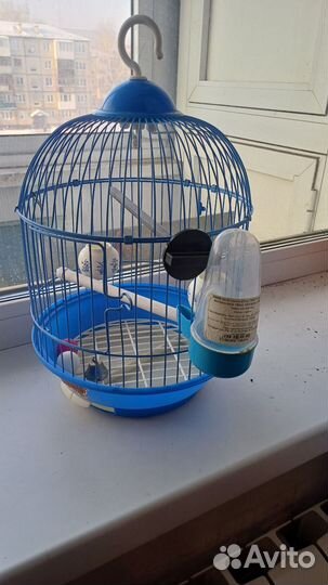 Клетка для попугая