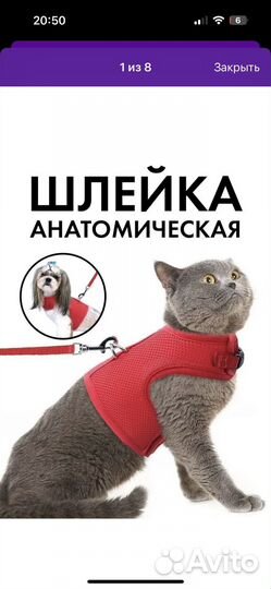 Шлейка поводок для кошки и собаки