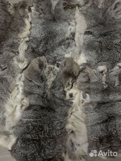 Шкурки кролика