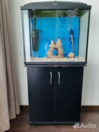 Аквариум