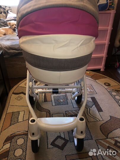 Коляска 2 в 1 adamex