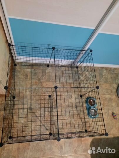 Вольер для собак мелких пород