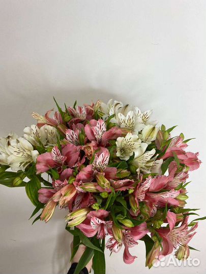 Цветы мелким оптом самозанятым и ип