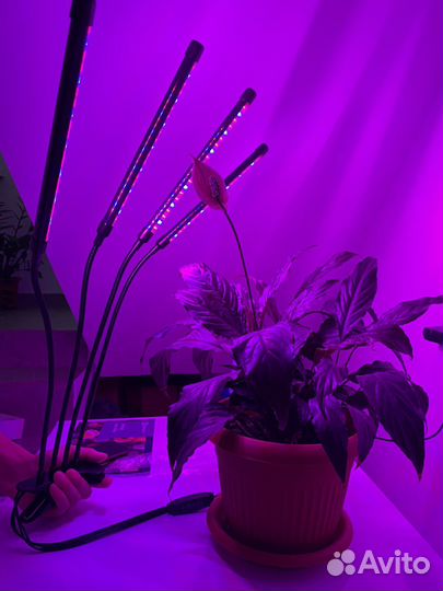 Фитолампа для растений для рассады новая