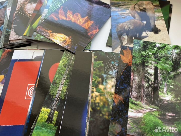 Мужчина и Женщина; Тотемные животные; Таро Манара;